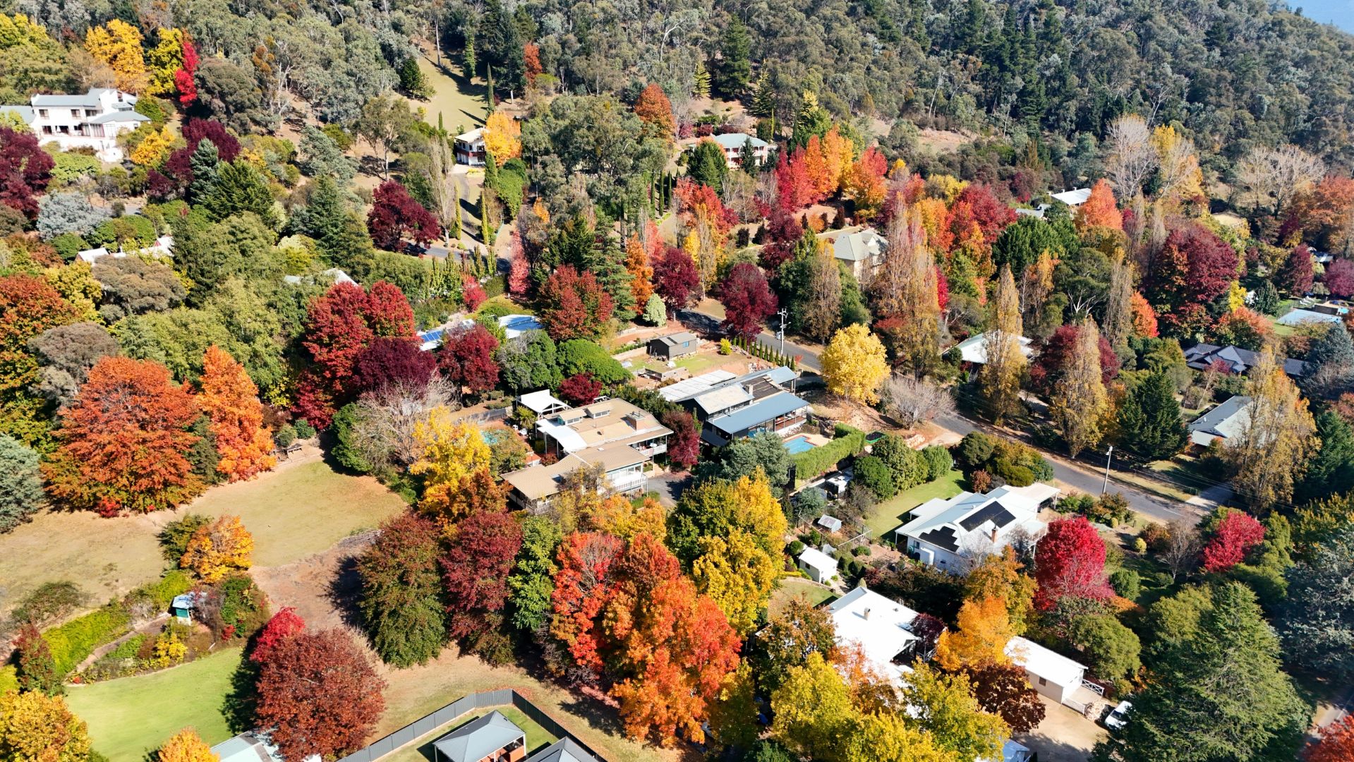 Fall Colours at Bright, Victoria